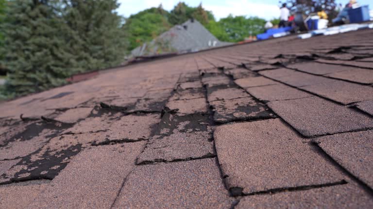 Best Slate Roofing  in Seis Lagos, TX