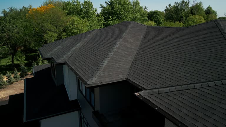 Best Roof Insulation Installation  in Seis Lagos, TX