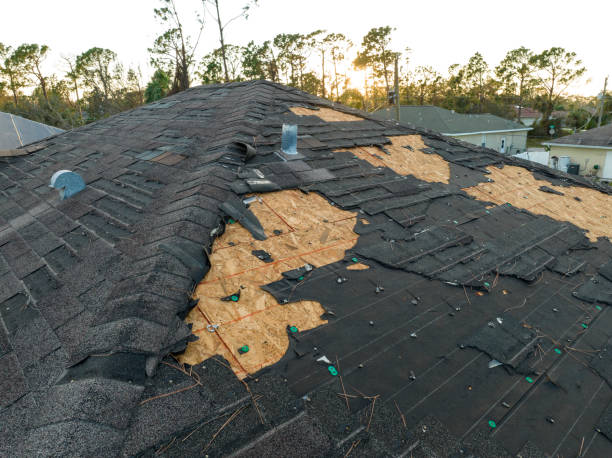 Best Roof Ventilation Installation  in Seis Lagos, TX