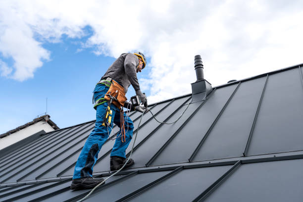 Best Metal Roofing Installation  in Seis Lagos, TX