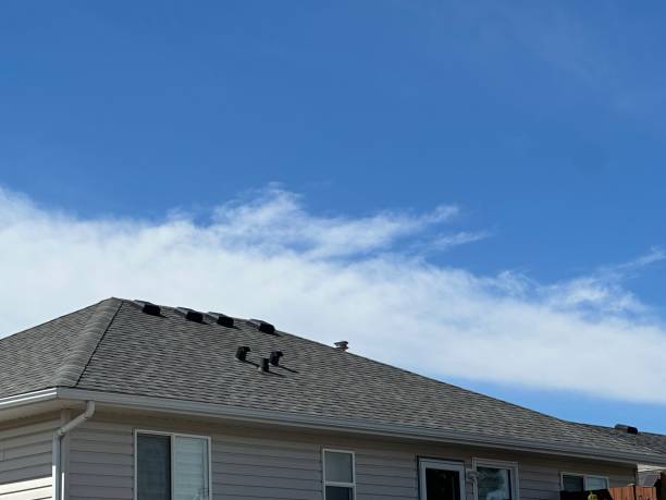 Best Emergency Roof Repair Services  in Seis Lagos, TX