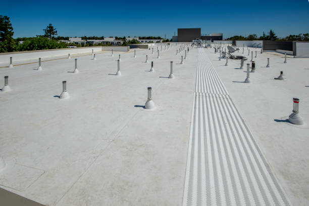 Best Asphalt Shingle Roofing  in Seis Lagos, TX